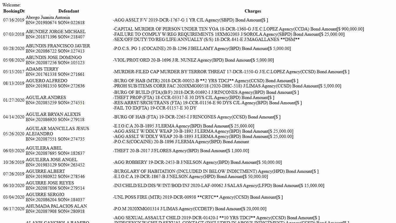 Cameron County Inmate List